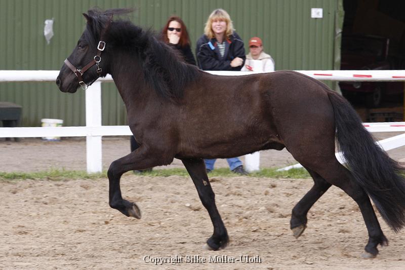 Noah von Heidmoor (4).JPG